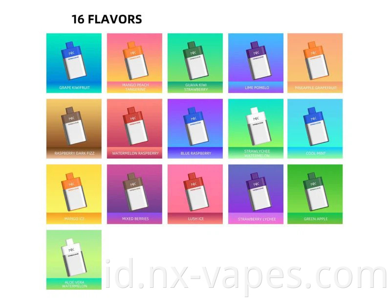 Maskking RIZ 6000 (2)